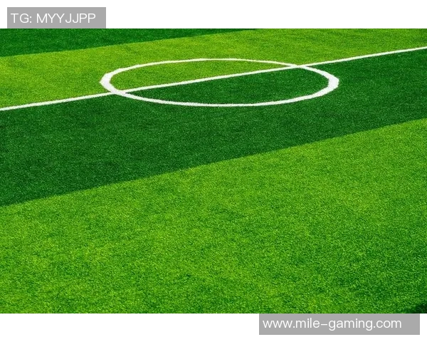 足球场各区域名称解析与功能探讨助你全面了解足球场布局与战术运用